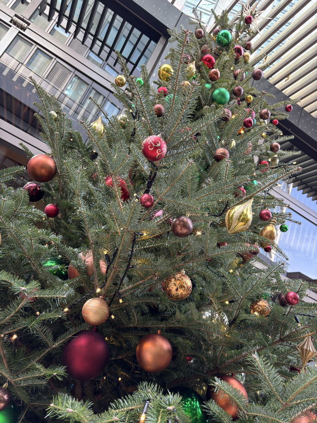 【賑わう六本木ヒルズでの週末1人旅　クリスマスマーケット2024編】