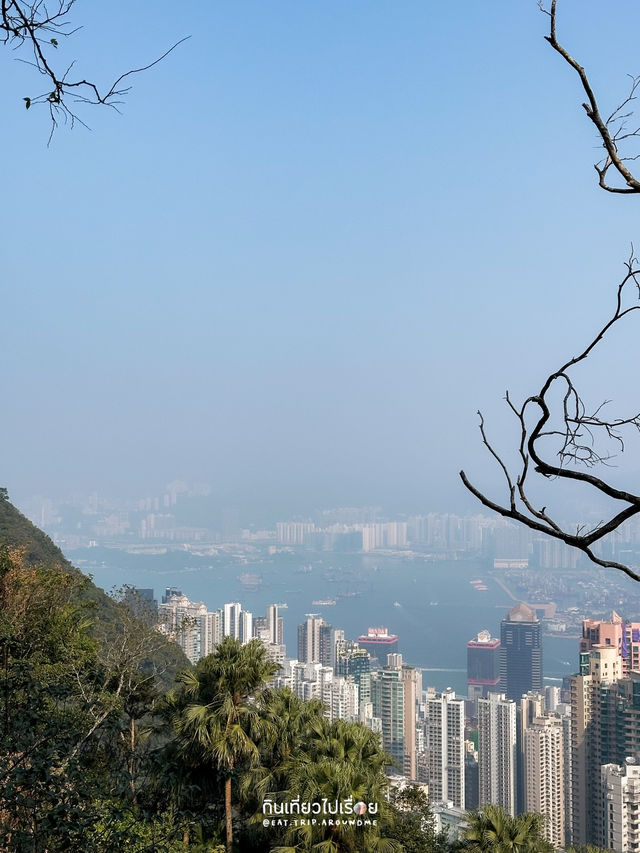 Victoria Peak จุดชมวิวเกาะฮ่องกงที่ต้องไป