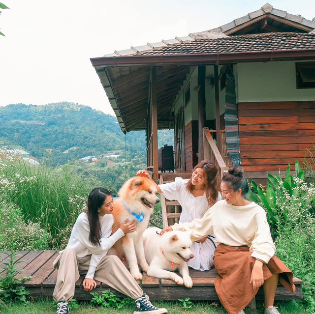 Mori Natural Farm โมริ เนเชอรัลฟาร์ม เชียงใหม่ 🏮🛖