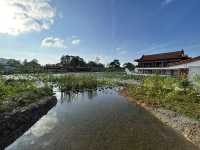 Wandering Through Stillness: A Solo Day at the Chinese and Japanese Gardens in Singapore