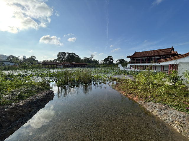 Wandering Through Stillness: A Solo Day at the Chinese and Japanese Gardens in Singapore