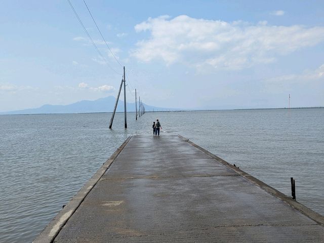 長部田海床路