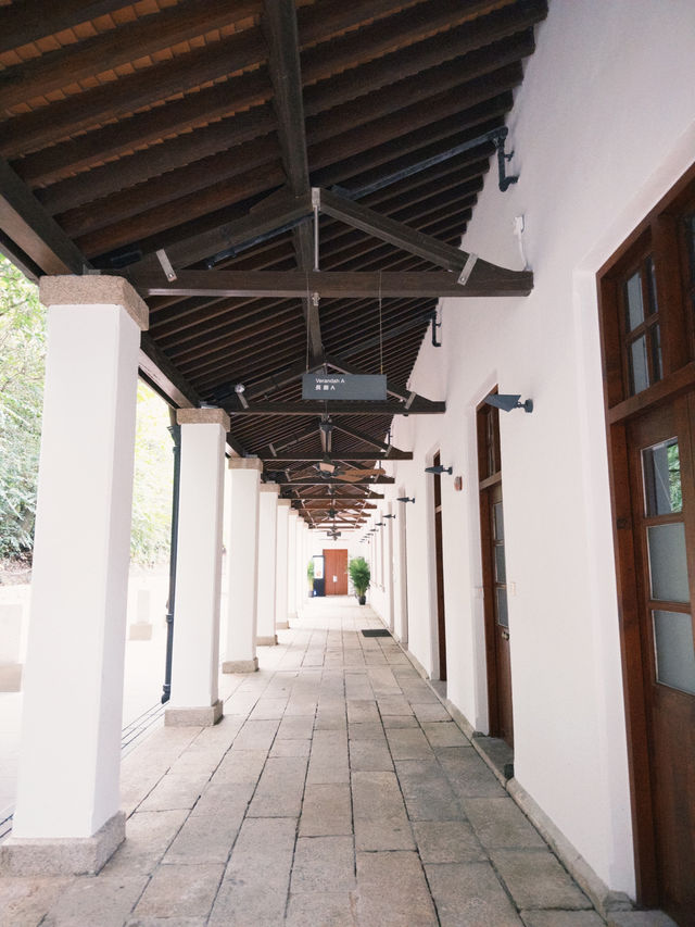 香港好去處🇭🇰隱藏在城市中的秘景✨