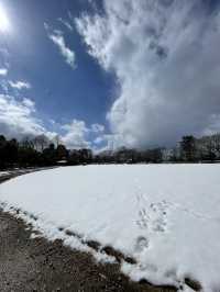 【富山】歴史と文化が息づく街・高岡