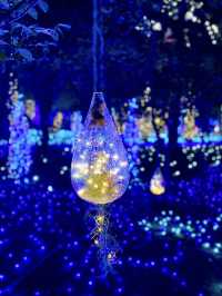 限定！神奈川江之島超浪漫燈光✨