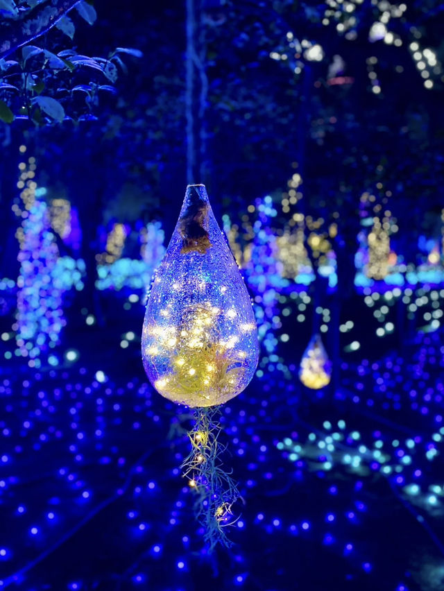 限定！神奈川江之島超浪漫燈光✨