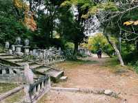 日本京都著名寺廟景點：二尊院，適合打卡拍照📸