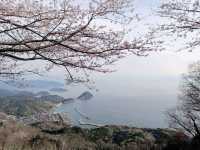 四國賞櫻之旅：紫雲出山停車場展望台