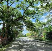 倫披尼公園·曼谷城市中的綠洲