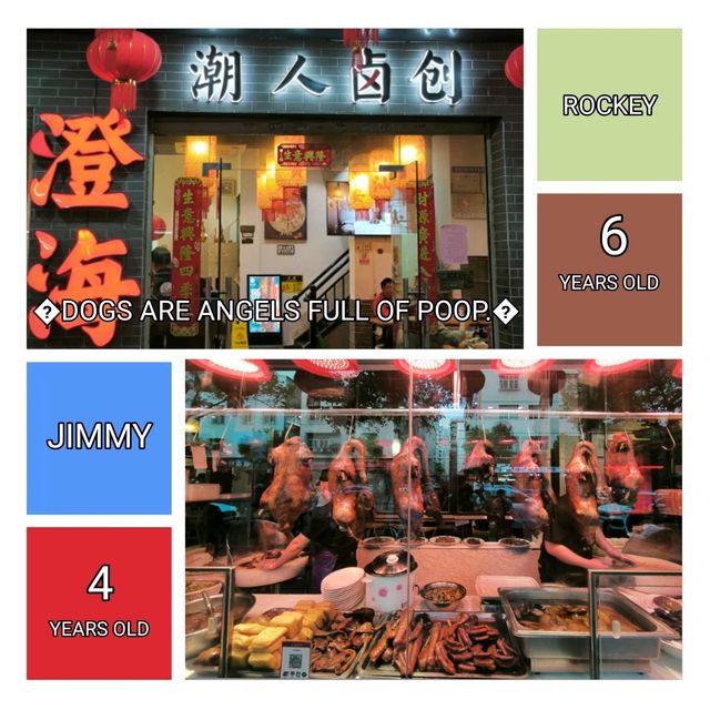 【澄海獅頭鵝】是吃潮汕美食之首選,開餐啦！