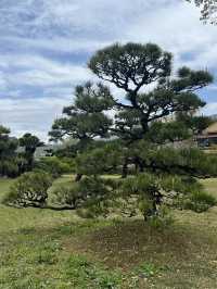 日本四國