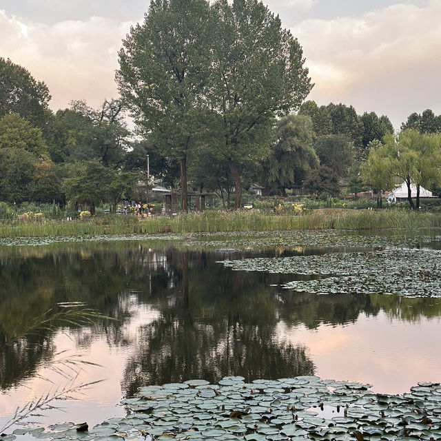【ソウル】🇰🇷 ヨンサン家族公園