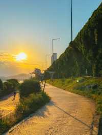 해 질 무렵이면 황금빛으로 물드는 강가🌇🧡