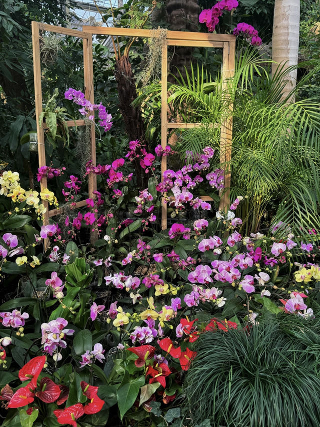 Yes!! Wuhan Has Its Own Little "Monet Garden" Too