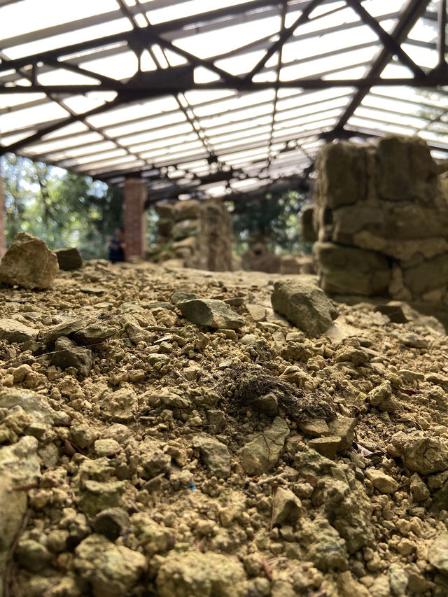 新店第一高峰-獅仔頭山｜古道遺跡探險路線推薦！