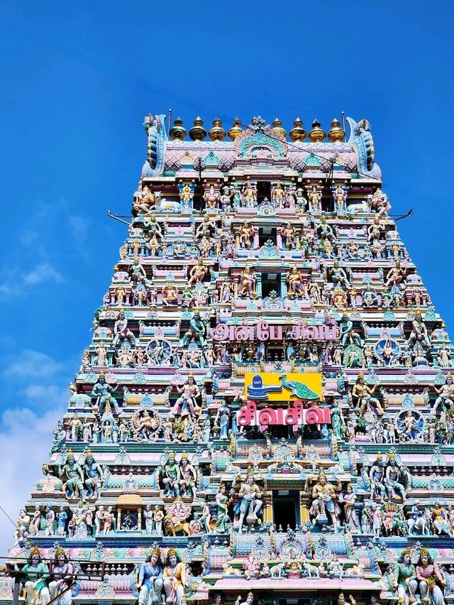 【チェンナイ/インド】一度は見ておきたい寺院🛕カバレーシュヴァラル寺院
