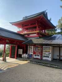 【山口県下関市🇯🇵赤間神宮】竜宮城をイメージした神社⛩️