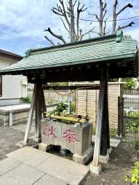 Spring Walk at Himonya Itsukushima-jinja Shrine