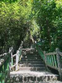 A Tranquil Escape: Jiantan Park 