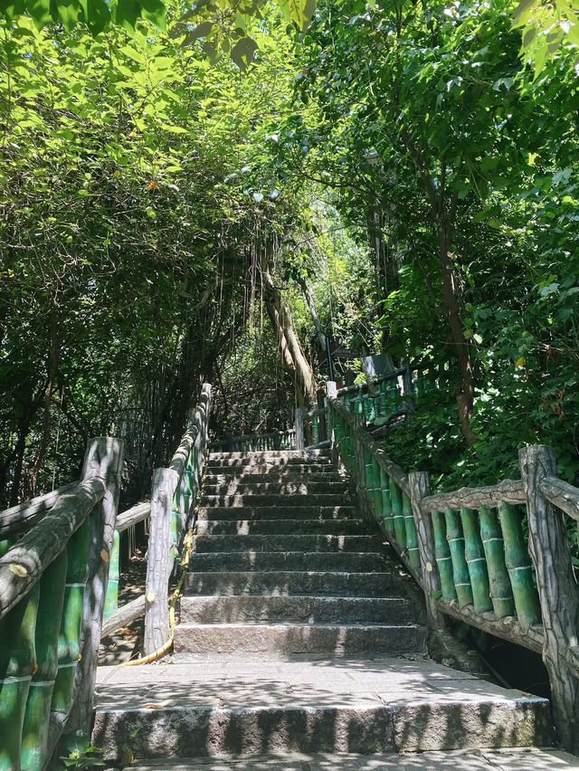 A Tranquil Escape: Jiantan Park 