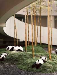 😍 "Should’ve Gone Sooner!" – Hidden Scenic Spots in Chengdu