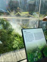 🏺 Jinsha Site Museum: Unveiling Chengdu’s Ancient Shu Civilization