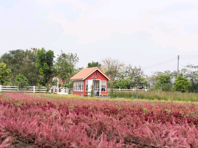 สวนดอกไม้ บ้านไร่นายรุ่ง กาญจนบุรี