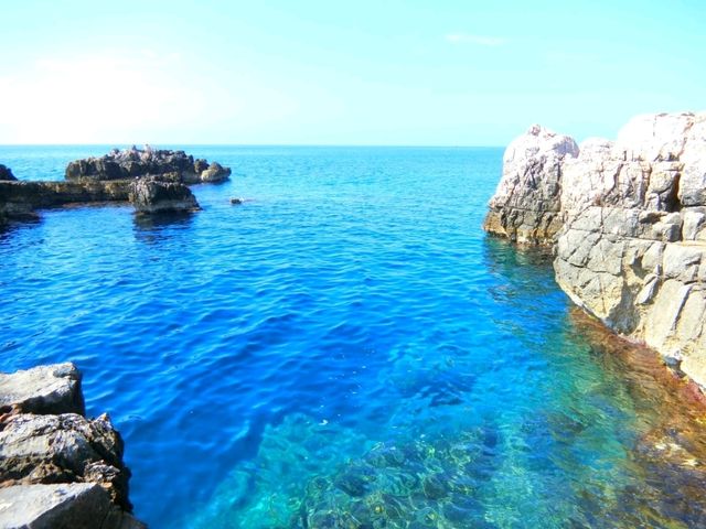 【ドブロブニク】フェリーで10分⛴️リゾート地・ロクルム島