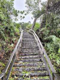 My Wild (& Slightly Sweaty) Adventure in Sandakan Rainforest Park 🌿🐒