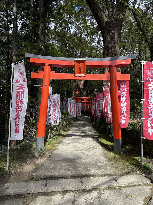 福岡🌸天開稻荷神社⛩️伴櫻花