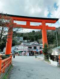 【神奈川⛩️箱根】必ず訪れたいパワースポット🐉龍神様