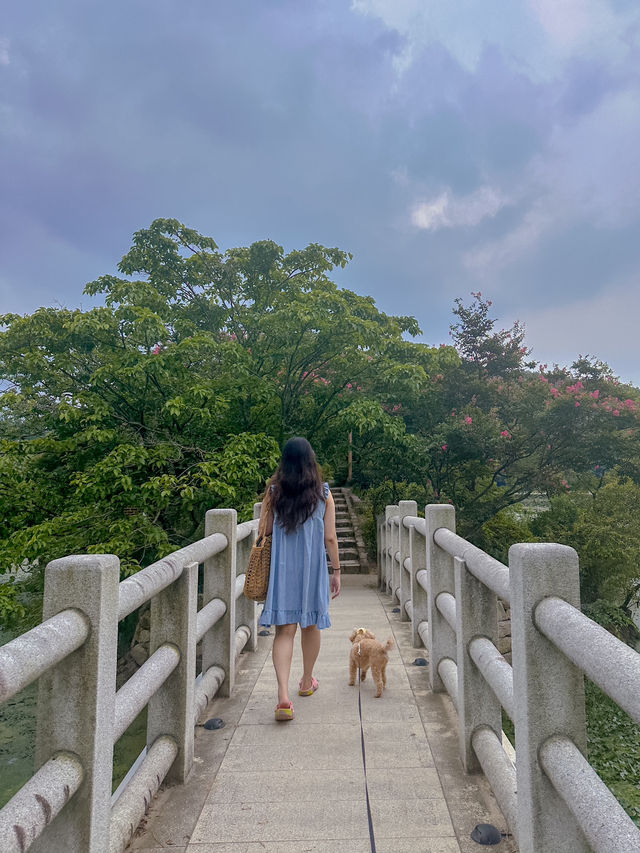 푸릇푸릇 여름감성 여행지 🌱