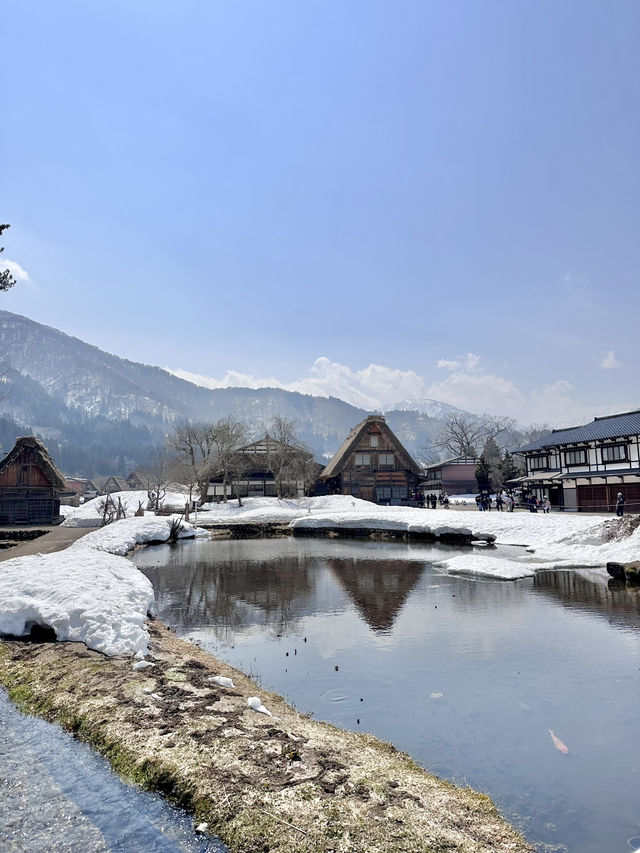 🇯🇵 白川鄉一定要上展望台和近距離拍小屋🏡 ❄️