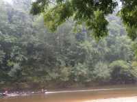 🌿🚤 Taman Negara River Cruise Review: A Jungle Adventure!