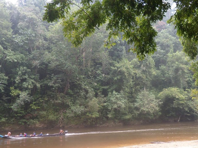 🌿🚤 Taman Negara River Cruise Review: A Jungle Adventure!
