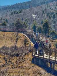 A Peaceful Escape into Nature: Discovering the Beauty of Potatso National Park (普达措国家公园)