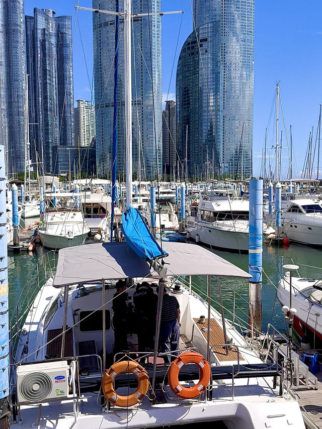 Busan Yacht Experience