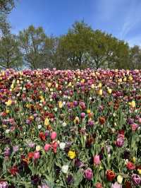 A day in Keukenhof