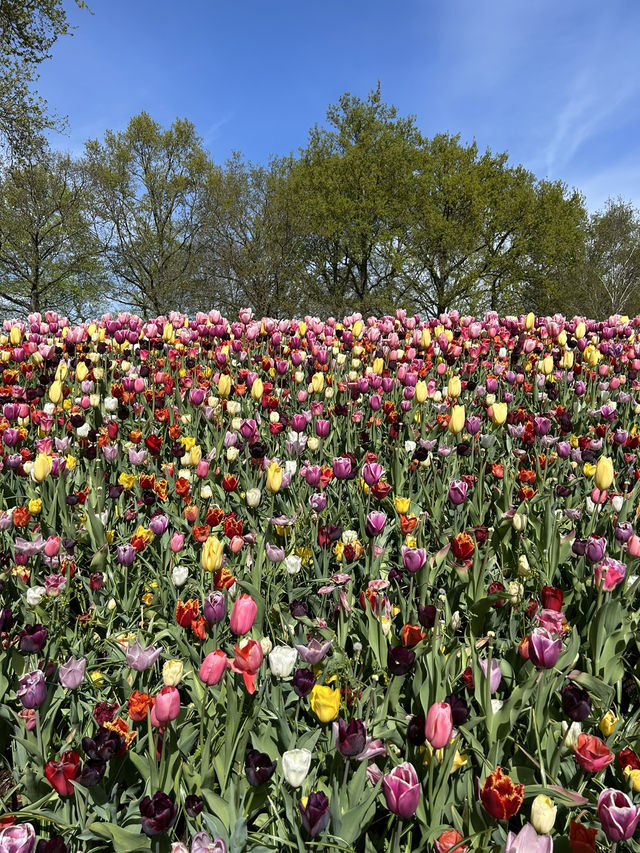 A day in Keukenhof