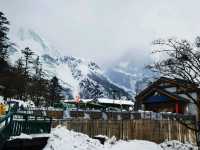 Jade Dragon's Embrace: Where Winter Never Ends