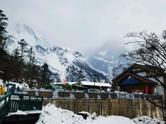 Jade Dragon's Embrace: Where Winter Never Ends