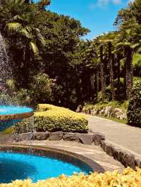 Discovering the Springtime Splendor of Oedo Botania