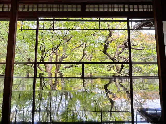 🇯🇵【京都】特別拝観期間だけ拝観できる！瑠璃光院！