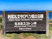 北の果てに立つ絶景スポット！スコトン岬で感じる地球の広さ🌍