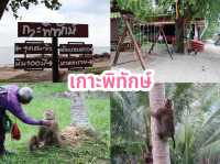 เกาะพิทักษ์