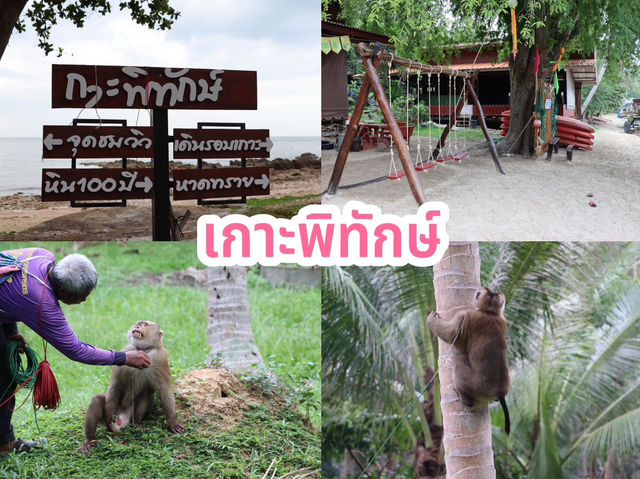 เกาะพิทักษ์