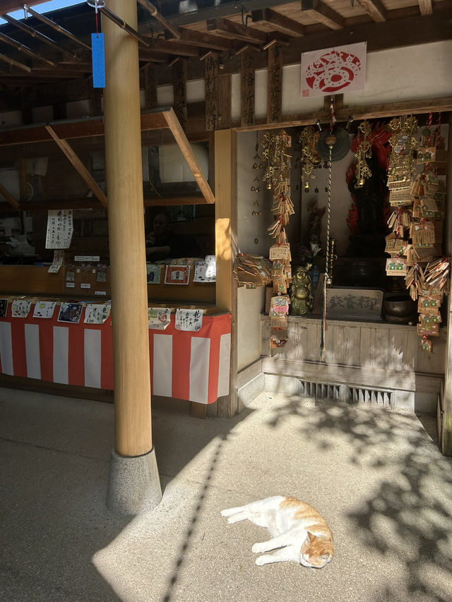 かえる寺🐸
