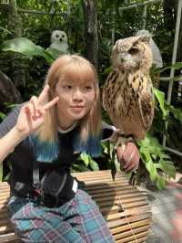 好玩程度破表！曼谷 Safari World 是我心中 No.1 的動物園