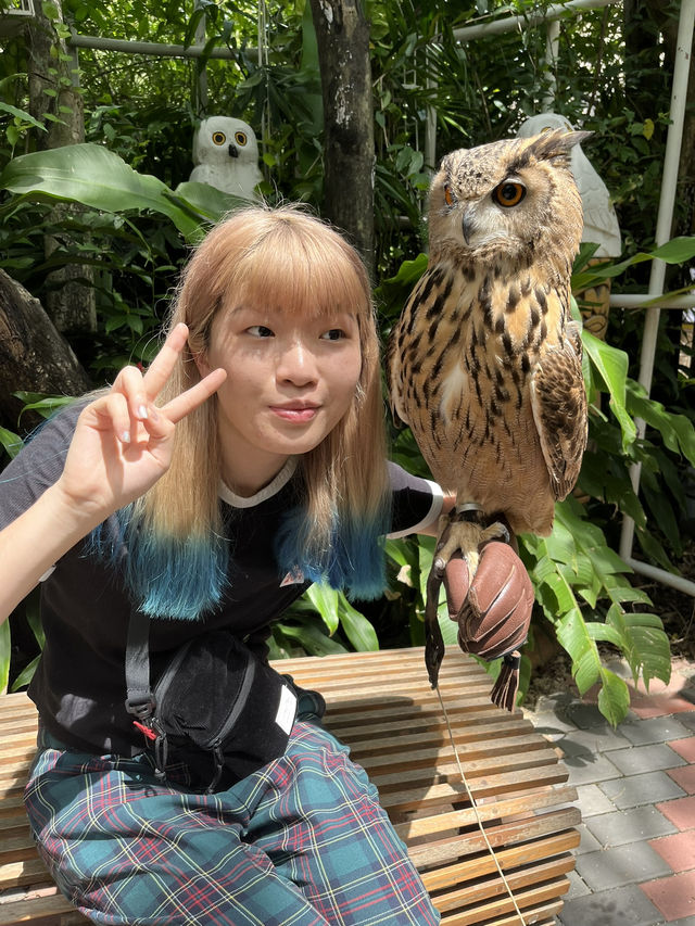 好玩程度破表！曼谷 Safari World 是我心中 No.1 的動物園