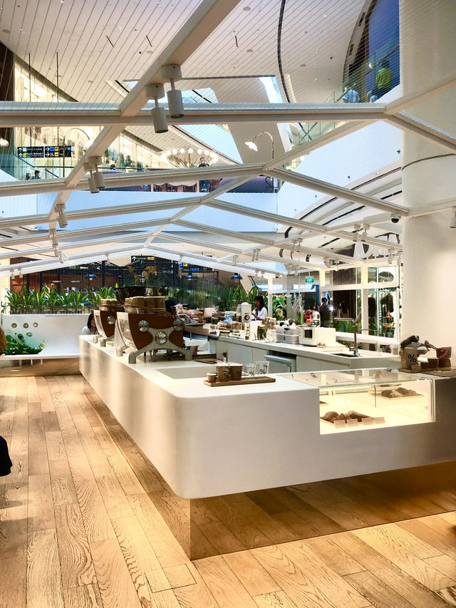 Layover Goals — Coffee & Views at Jewel Changi